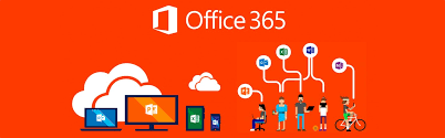 Why You Need Office 365 in the Cloud